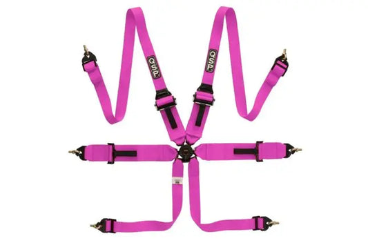 QSP - 6-punkti turvarihmad FHR Touring FIA - Roosa