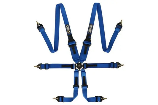QSP - 6-punkti turvarihmad FHR Endurance FIA - Sinine